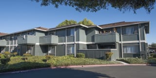 Woodside Park Gallery 11