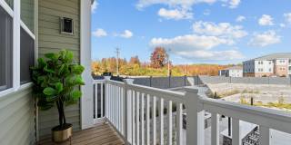 Legend at Beards Hill Gallery 8