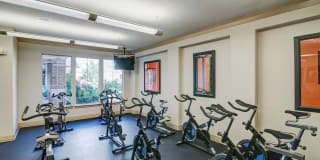 Avanti Cityside Gallery 15