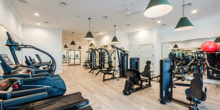 The Village at Lake Lily Gallery 10