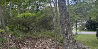 37 Seneca Road Gallery 44