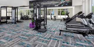 Midtown 24 Apartments Gallery 12