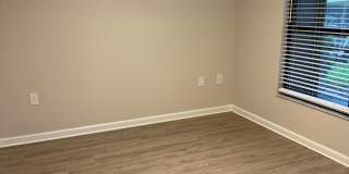 Palms of Clearwater Gallery 69