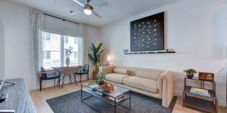 Park South Gallery 35