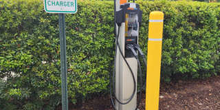 Alta Wren Gallery 46