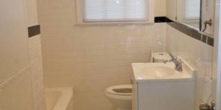 Royal Arms I Gallery 8