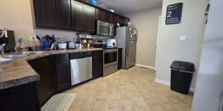 3817 Marigold Drive - 1 Gallery 2