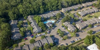 Pear Orchard Gallery 29