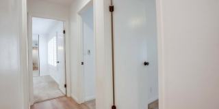 1228 Evergreen Drive Gallery 21