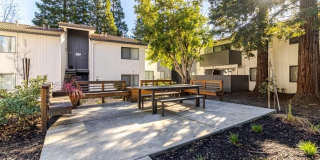 Mission Pines Gallery 17