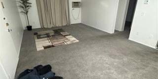31555 Fraser Drive Gallery 11