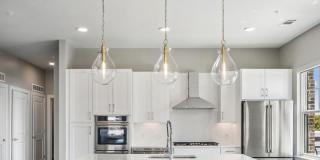 Society at Laurens Gallery 67