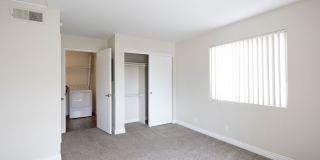 Golden Pacific Gallery 10