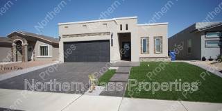 14829 David Latin Gallery 1