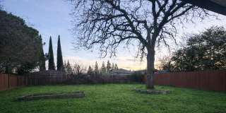 11750 Jones St. Gallery 1