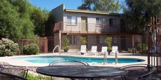 Mountain Plaza Gallery 17