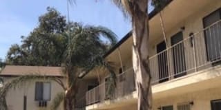 8742 Orion Gallery 4