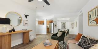 Cortland Scottsdale Mountain Gallery 6