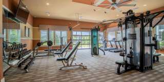 Century Dunes Gallery 3