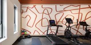 Cavalier at the Crosswalks Gallery 4