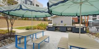 Bluebird on Seventy Gallery 40