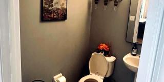 16 POPLAR DRIVE Gallery 39