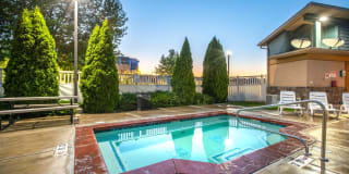 Olympus at The District Gallery 49