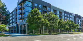 The Citizen Gallery 5