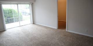 Spacious Ground Floor Condo in Silver Spring Gallery 6