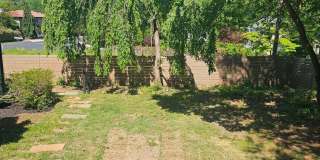 4949 OLD DOMINION Drive Gallery 43