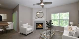 Paradise Island Gallery 6