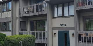Available NOW: Updated 2 Bedroom Apartment in Bridgeville Gallery 1