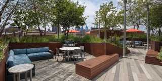 Bridge on Race Gallery 12