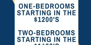 Indigo Springs Gallery 21