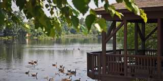 2212 Persimmon Ridge Drive Gallery 16