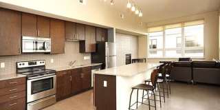 The Elysian Gallery 639