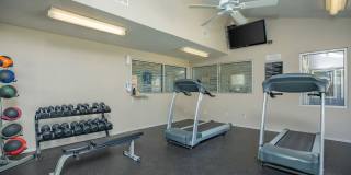 Wind Tree Gallery 13