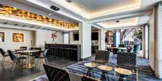 Brightleaf at Lakeline Gallery 51