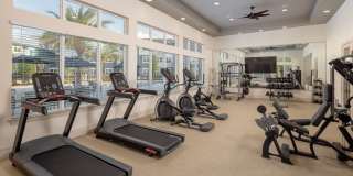 Prose Avalon Pointe Gallery 7