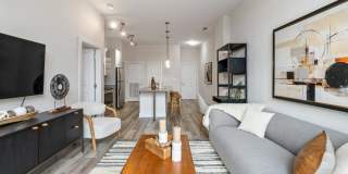 Maven at Wheaton Gallery 19