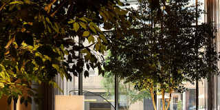The Juniper & The Reserve at Juniper Gallery 13
