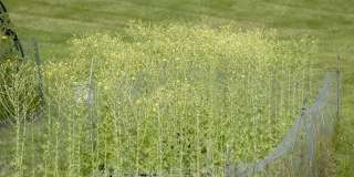 Palisades Gallery 27