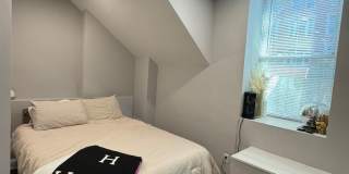 4bed/2 bath in Brookline Gallery 6