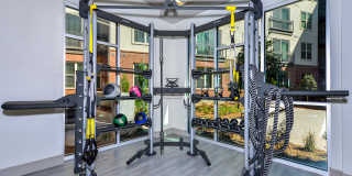 Cortland at Phipps Plaza Gallery 19