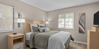 Avail Sandy Springs Gallery 6