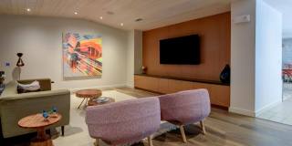 Agave Gallery 71