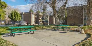 Country Woods Gallery 8