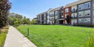 Anthology Apartments Gallery 38