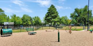 Ascent at Havana Gallery 20