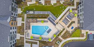 Canter Green Gallery 56